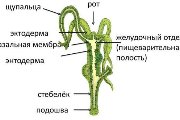 Vk8 at кракен рабочий