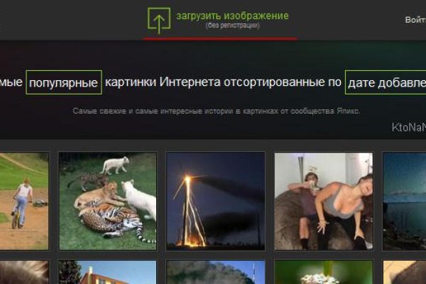 Hydraruzxpnew4af зеркало